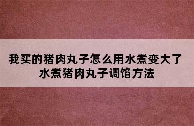 我买的猪肉丸子怎么用水煮变大了 水煮猪肉丸子调馅方法